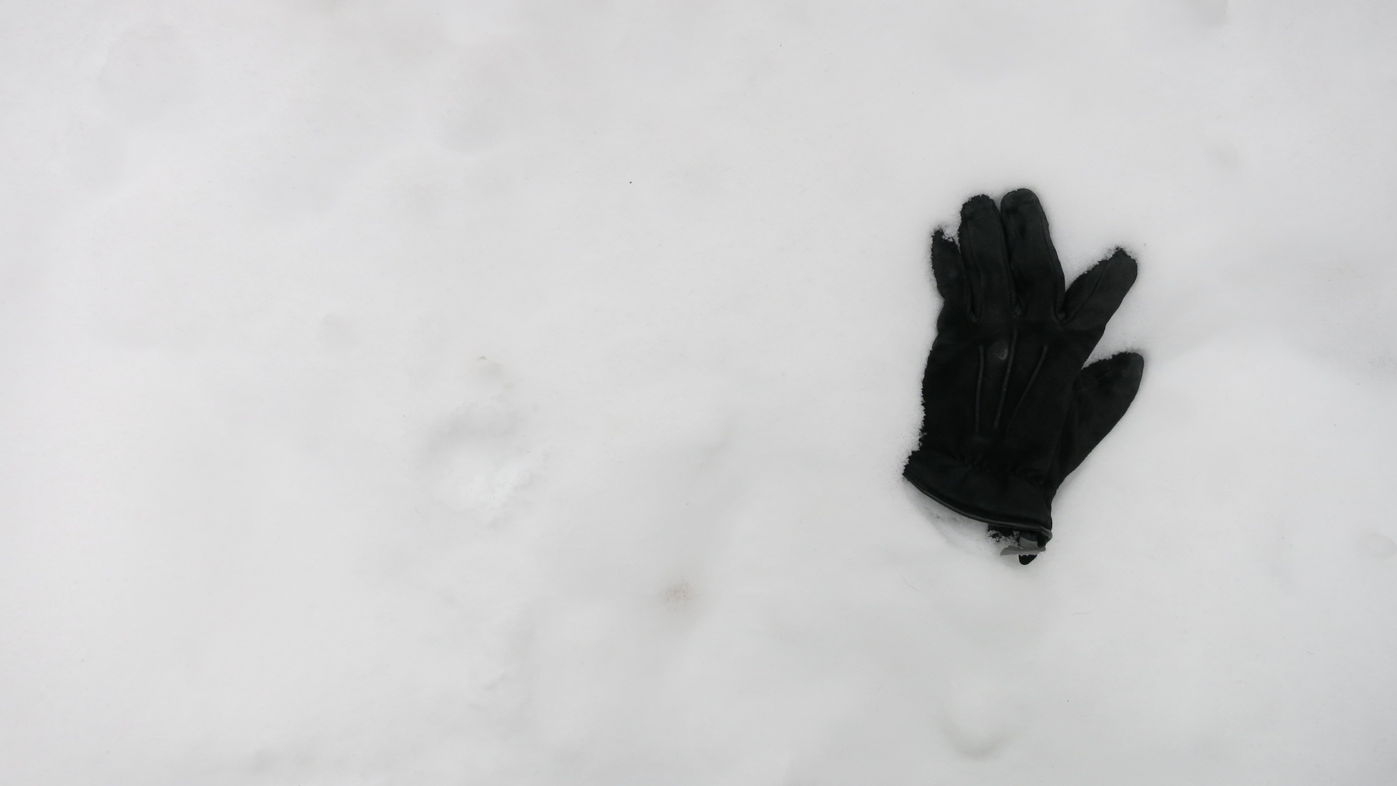 Gallery of Lost Gloves